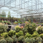 Pépiniéristes - Essonne