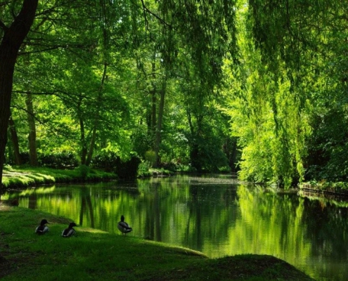 Les Paysages de l'Essonne - Tourisme Essonne