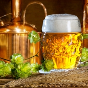 Bar Brasserie - Restaurants Essonne