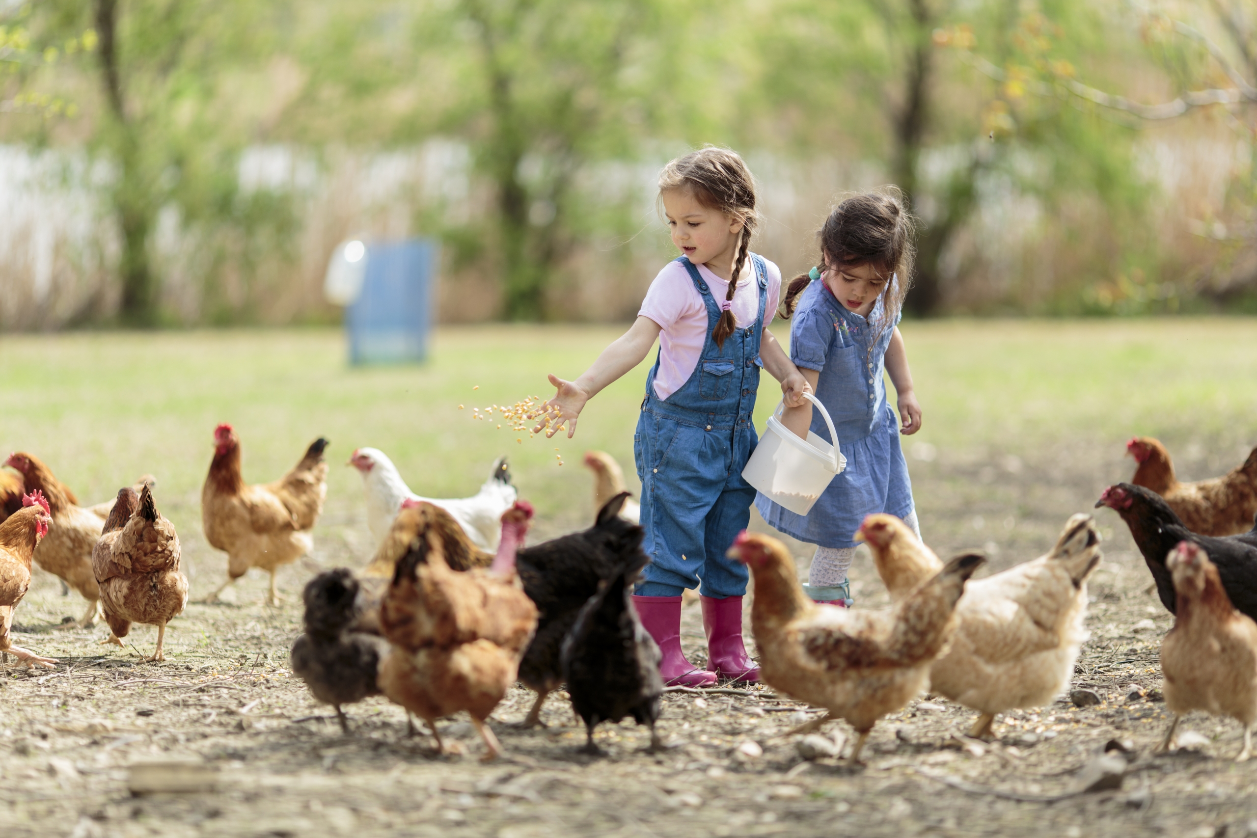 Top 5 des activités pour enfants en Essonne